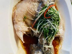 -京坛汇·烤鸭·京菜(宋庄店)