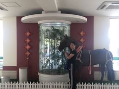 -蓝天盛景高尔夫马术俱乐部