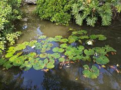 -粤晖园