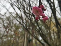 -北湖公园