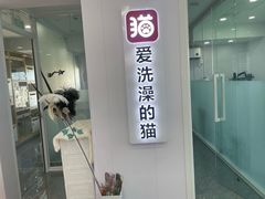-爱洗澡的猫(望京店)