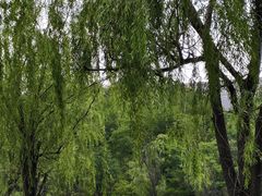 -黄河小浪底水利枢纽风景区