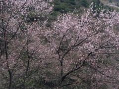 -孟屯河谷景区