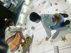 -贝壳王国博物馆