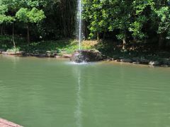 -大奇山国家森林公园