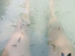 -天赐温泉