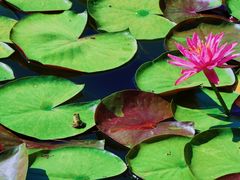 -国家植物园南园