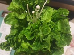 -润泽园椰子鸡(汇一城店)