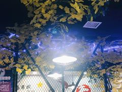-特色酱椒鱼私房菜(黄鹤楼店)