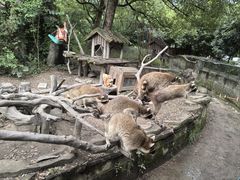 -宁波野生动物园