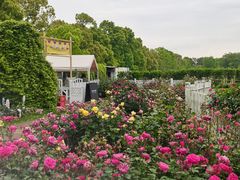 -嘉北郊野公园