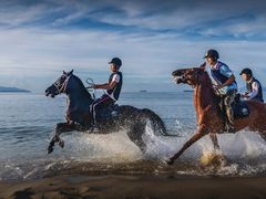 -玫瑰海岸文化旅游度假区
