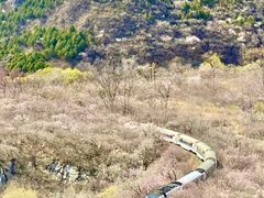 -居庸关长城