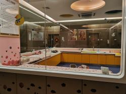 点击看大图 -金芙美月子中心(财富别墅店)