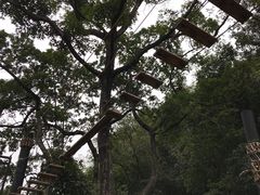 -三水森林公园