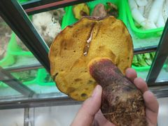 -原林野山菌火锅·炒菌(关上野生菌一条街店)