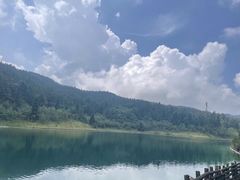 -武陵山森林公园