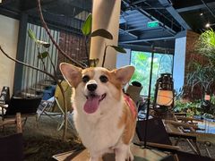 -J Create城市露营咖啡·简餐·宠物(上海动物园店)