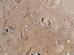 -西涌国际滨海旅游区