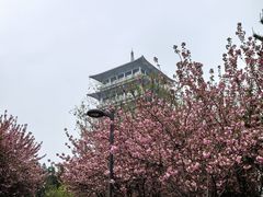 -西安世博园