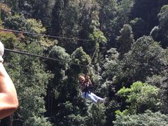 -清迈丛林飞跃 JungleFlight