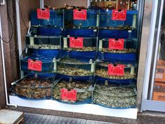 水产区-北戴河庆山饭店·海鲜砂锅粥(北戴河黑石路店)