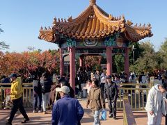 -南翠屏公园