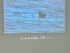 -福州海峡文化艺术中心