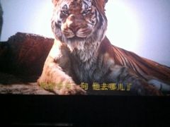 -佳兆业国际影城(惠州IMAX店)
