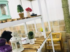 -北戴河庆山饭店·海鲜砂锅粥(北戴河黑石路店)