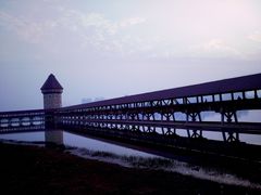-九龙湖公园