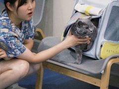 -佩兹宠物医院肿瘤专科·眼科·牙科(黄浦店)