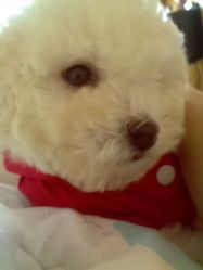 -奥丽维娅美容养生会所