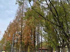 -宁波儿童公园(鄞州区)