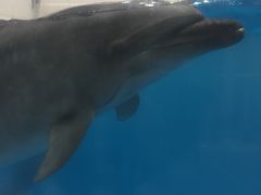-鹿儿岛水族馆