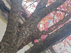 -乌镇东栅景区