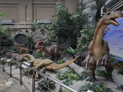 -国家自然博物馆