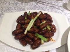 -北李妈妈菜·海肠捞饭(高新万达店)