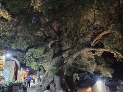 -杨家堂村