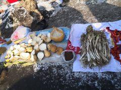 -蒲河大集