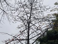 -岭南美术馆