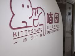 -喵园·猫主题咖啡厅·撸猫·猫咖(国贸店)