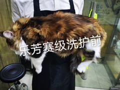 -汪小喵宠物·戴维斯乐芳希施宠馨宝皮毛调理洗护店