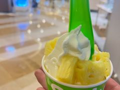 莎奴姆-Salud撒露欧洲冻酸奶(蓝色港湾店)