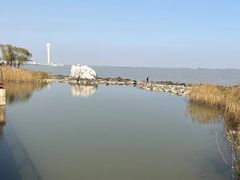 -上海吴淞炮台湾国家湿地公园