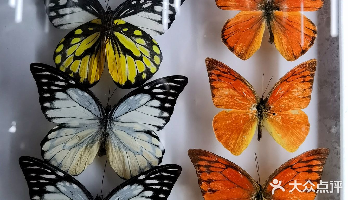 GUCCI100年—《古驰原典》展览