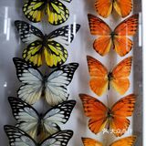 GUCCI100年—《古驰原典》展览