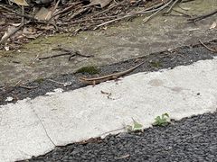 -会稽山峡洞漂流-上青古道