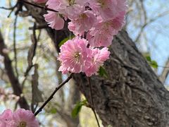 -水磨沟公园