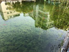 -苏州河梦清园环保主题公园